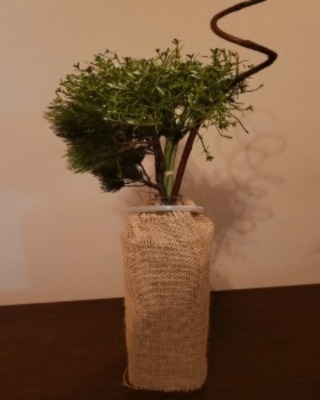 Vaso de Flores
